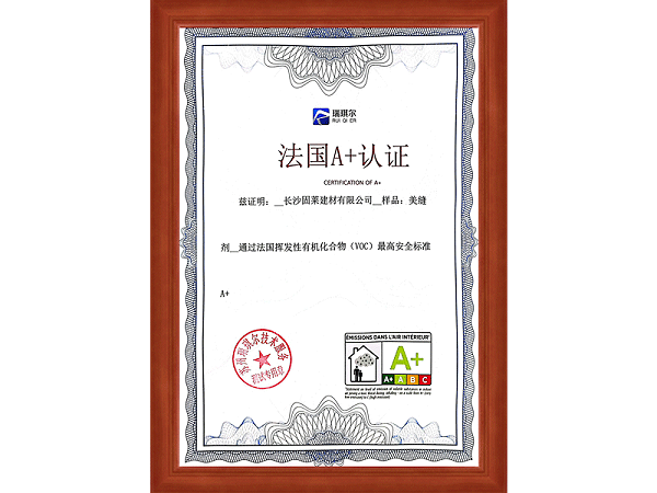 法国A+认证