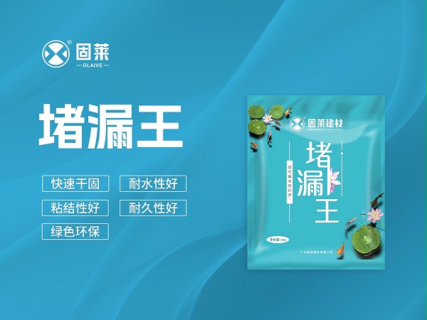 堵漏王