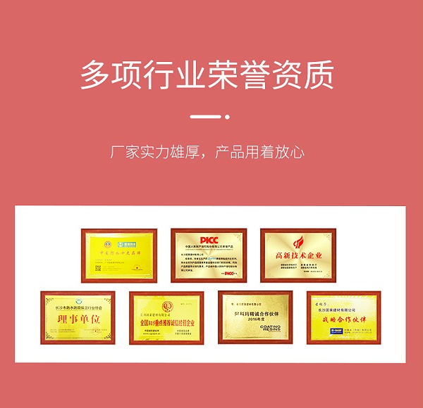 S级早强强力瓷砖胶G500